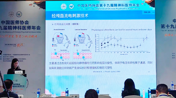 第十九届精神科医师年会